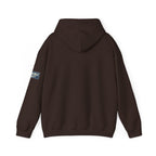 Jiu Jitsu Belt Hoodie — BJJ Textured Belt Graphic Pullover