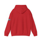 Hoodie — Jiu Jitsu Belt Rank Pyramid Design Pullover