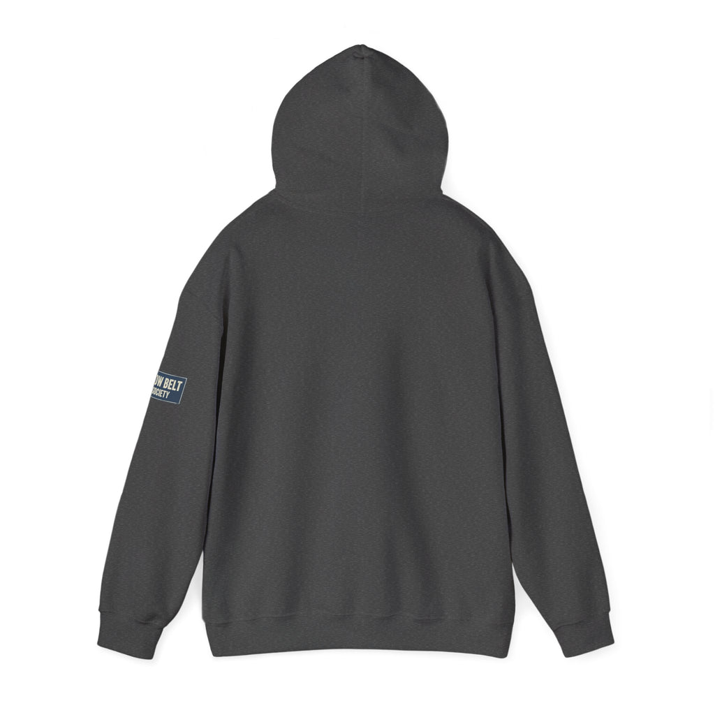 Jiu Jitsu Belt Hoodie — BJJ Textured Belt Graphic Pullover