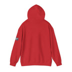 Hoodie — Jiu Jitsu Belt Rank Pyramid Design Pullover