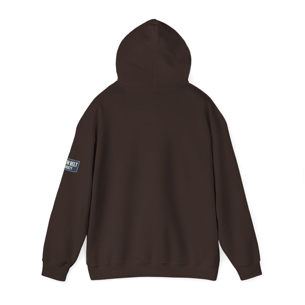 Jiu Jitsu Belt Hoodie — BJJ Textured Belt Graphic Pullover